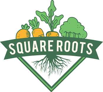 Square Roots